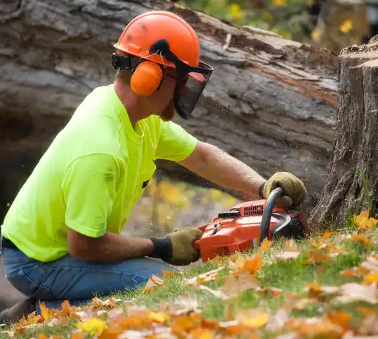 tree services Kingsbury